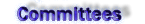 Scientific programm and local organization committees