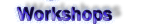 Workshops. New information - workshop discussion forum